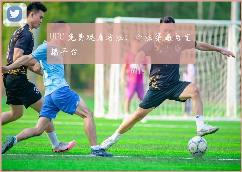 UFC 免费观看方法：合法渠道与直播平台