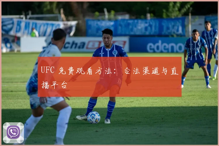 UFC 免费观看方法：合法渠道与直播平台